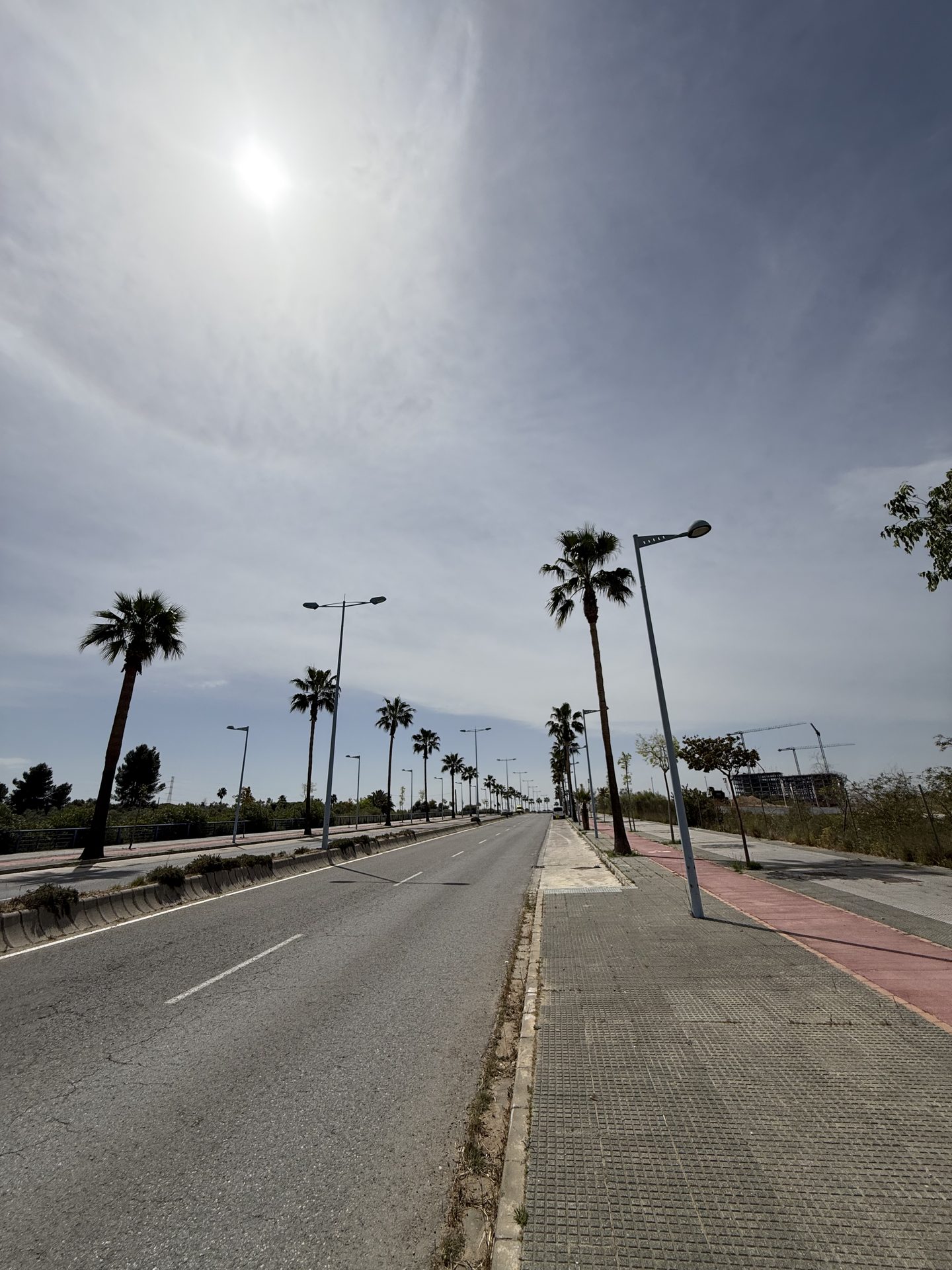 Avenida principal con palmeras, carril bici y urbanización terminada en Entrenúcleos, Dos Hermanas (Sevilla)