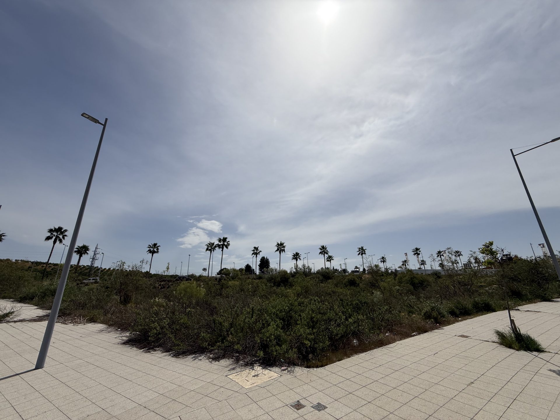 Entorno natural y consolidado junto a la Parcela BA-16 con aceras terminadas y palmeras en Entrenúcleos, Sevilla
